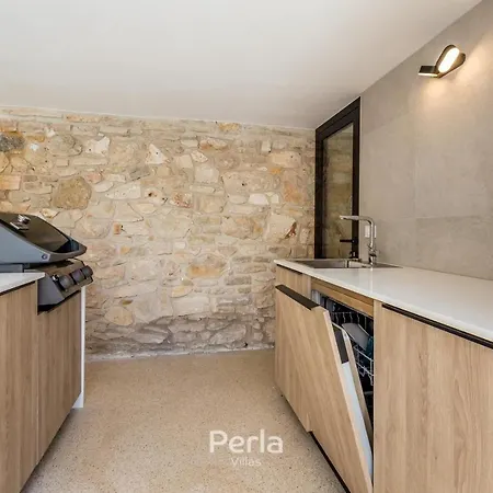 Charming Stone Cx With Large 50m2 Heated Pool 别墅