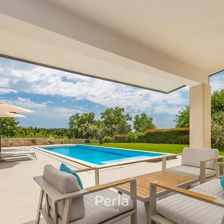 Villa Charming Stone Cx With Large 50m2 Heated Pool Brtonigla