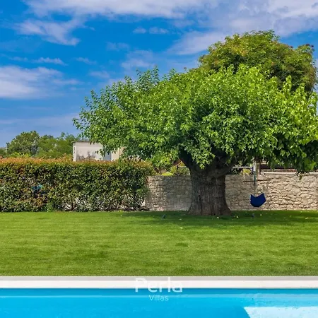 Charming Stone Cx With Large 50m2 Heated Pool Brtonigla