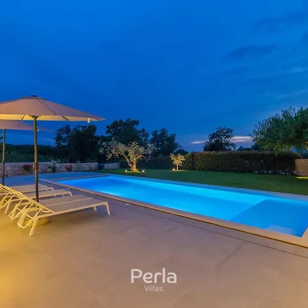 Villa Charming Stone Cx With Large 50m2 Heated Pool Brtonigla