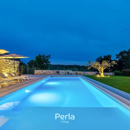 Charming Stone Cx With Large 50m2 Heated Pool Brtonigla
