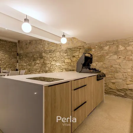 Charming Stone Cx With Large 50m2 Heated Pool Villa Brtonigla