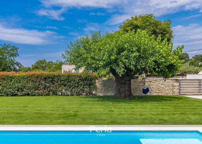 Charming Stone Cx With Large 50m2 Heated Pool 브르토니글라